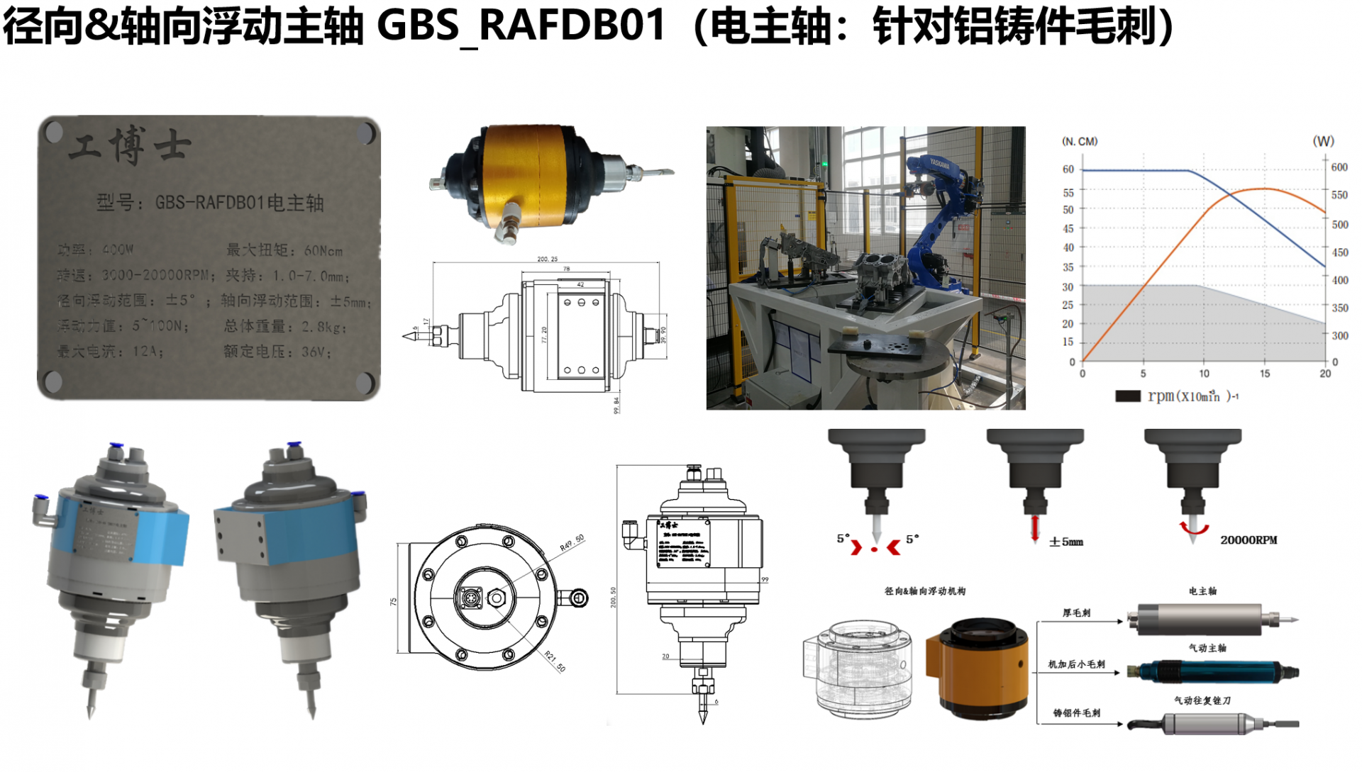 GBS-RAFDB01